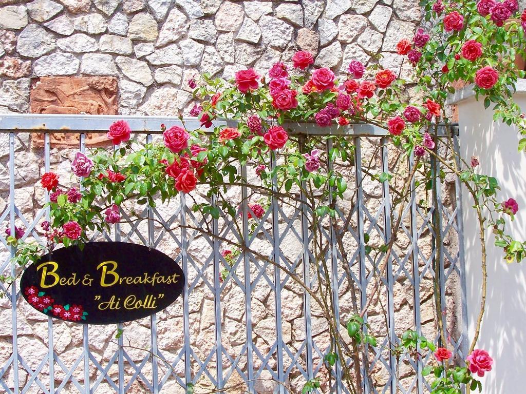 Ai Colli B&B Salò Rom bilde
